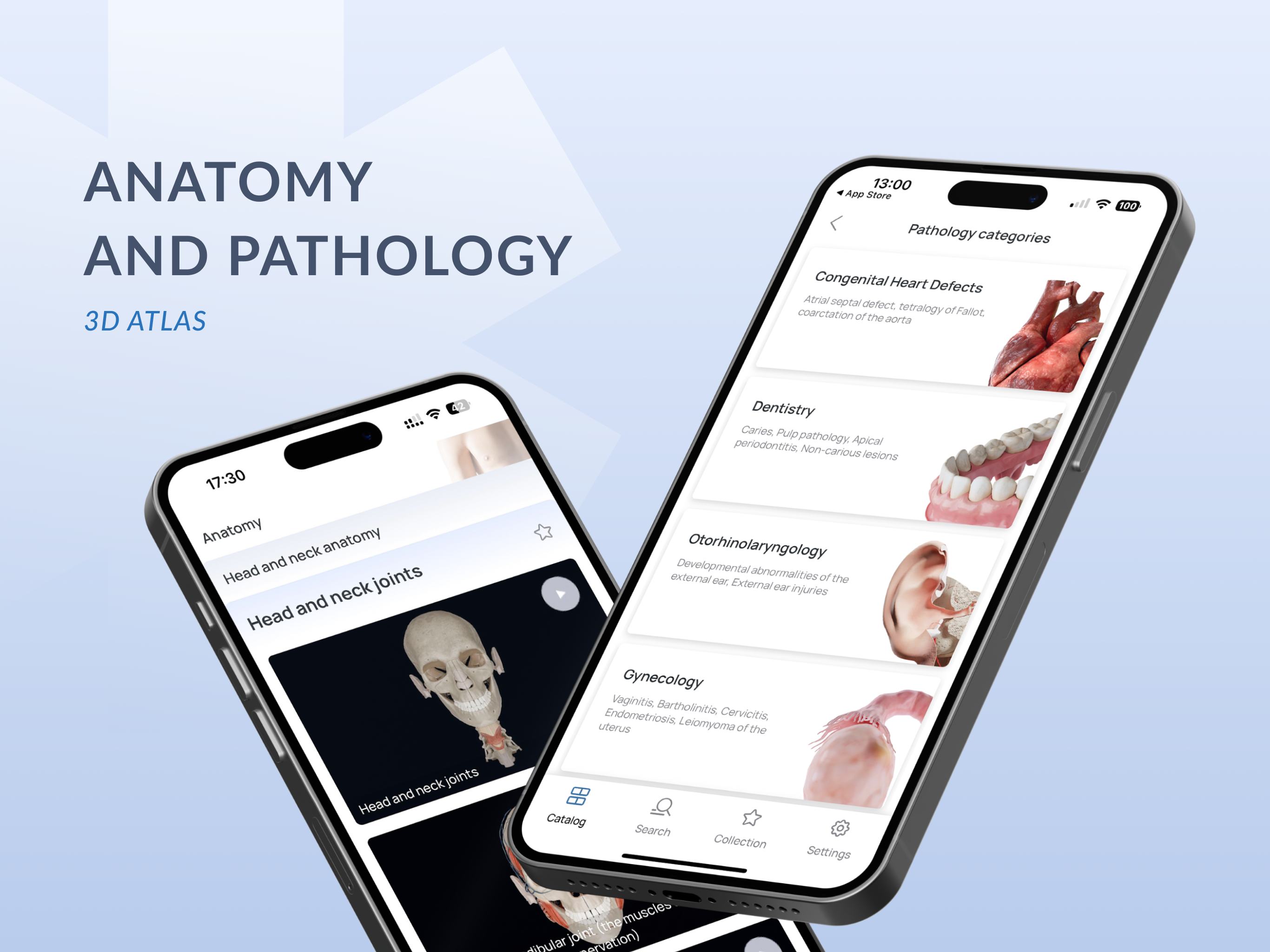 Media Voca Anatomy Pro 2