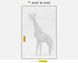 pixelbypixel gallery image