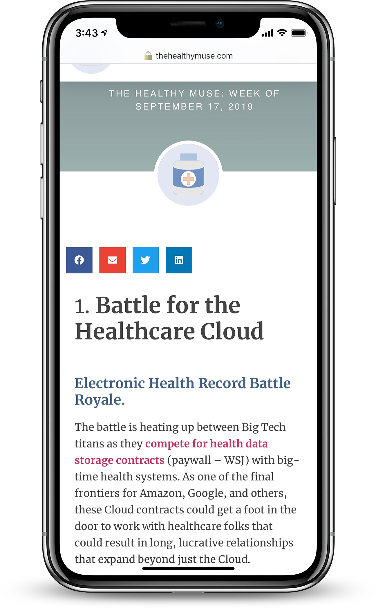 The Healthy Muse gallery image