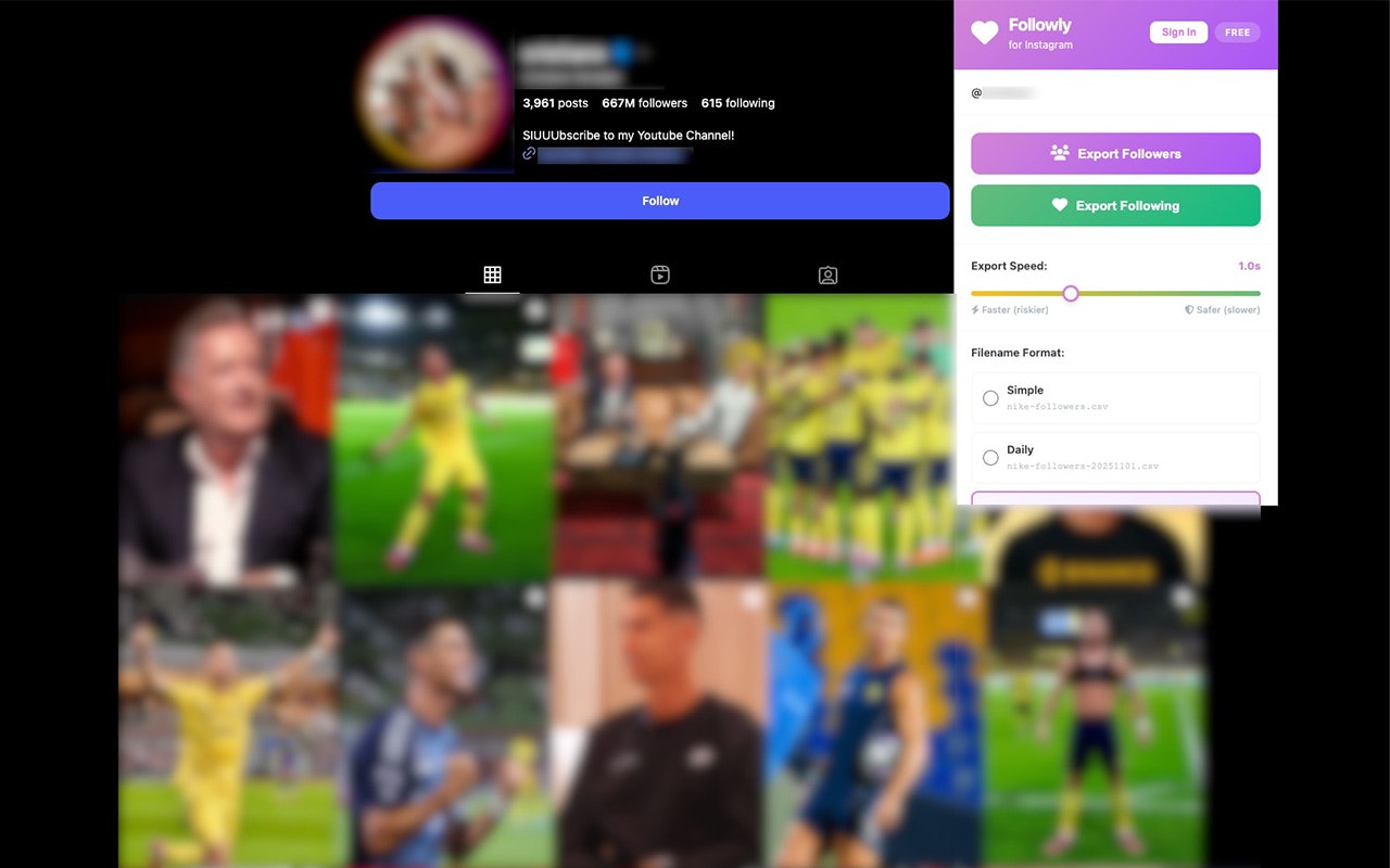 Followly - Instagram Follower Exporter gallery image