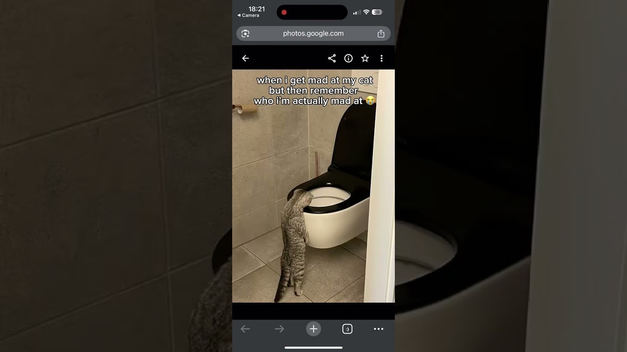 Qurbo.ai gallery image