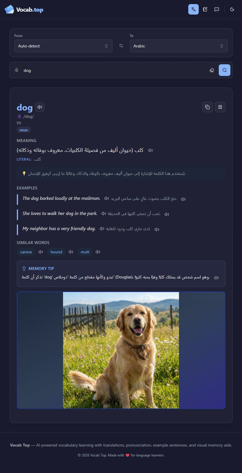 Vocab Top gallery image