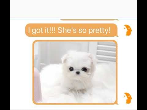 DoublyMe gallery image