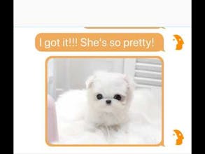 DoublyMe gallery image