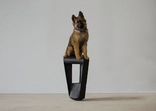 Formid Seat gallery image