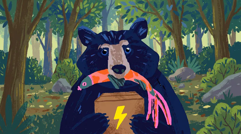 Voli The Bear screenshot 1