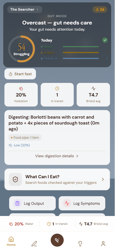 Understandung - Main product screenshot demonstrating key features and user interface