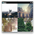 Gala