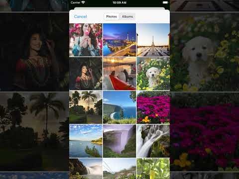 PaintSnap gallery image