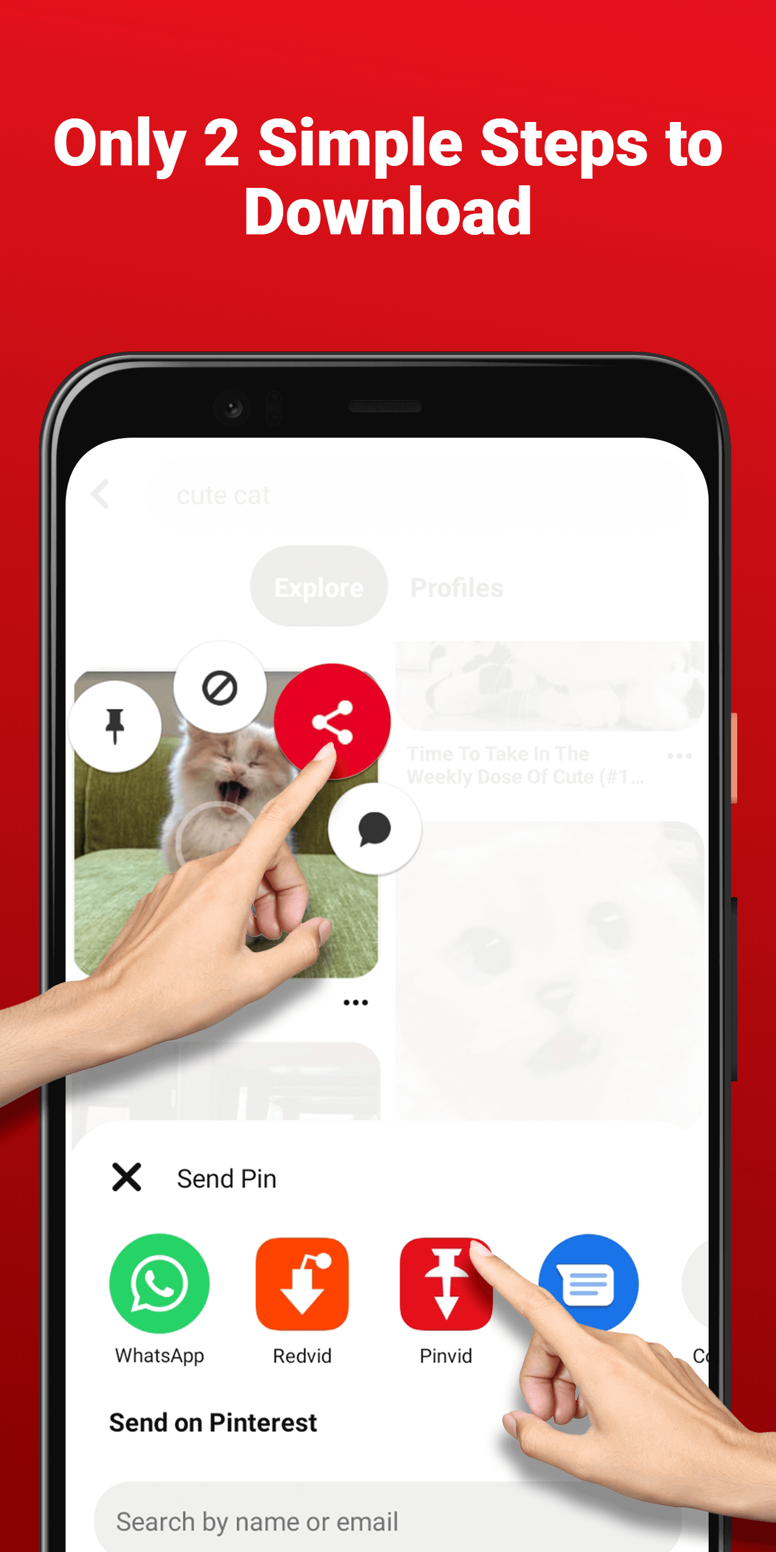 Video Downloader For Pinterest gallery image