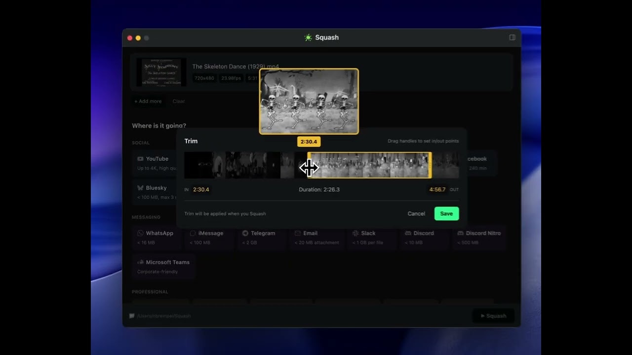 Squash Video gallery image