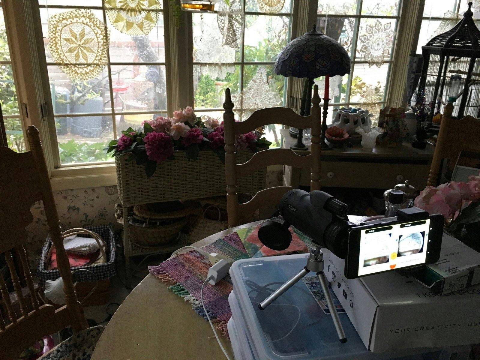 Birdfie gallery image