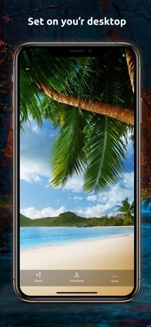 Wallpapers - Full HD - 4K gallery image