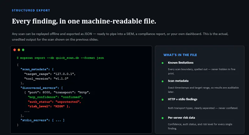 MCPScan screenshot 2