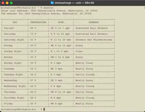 go-weather-cli gallery image