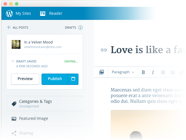 The New WordPress.com gallery image
