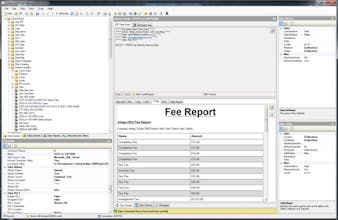 Indigo DQM Data Management System gallery image