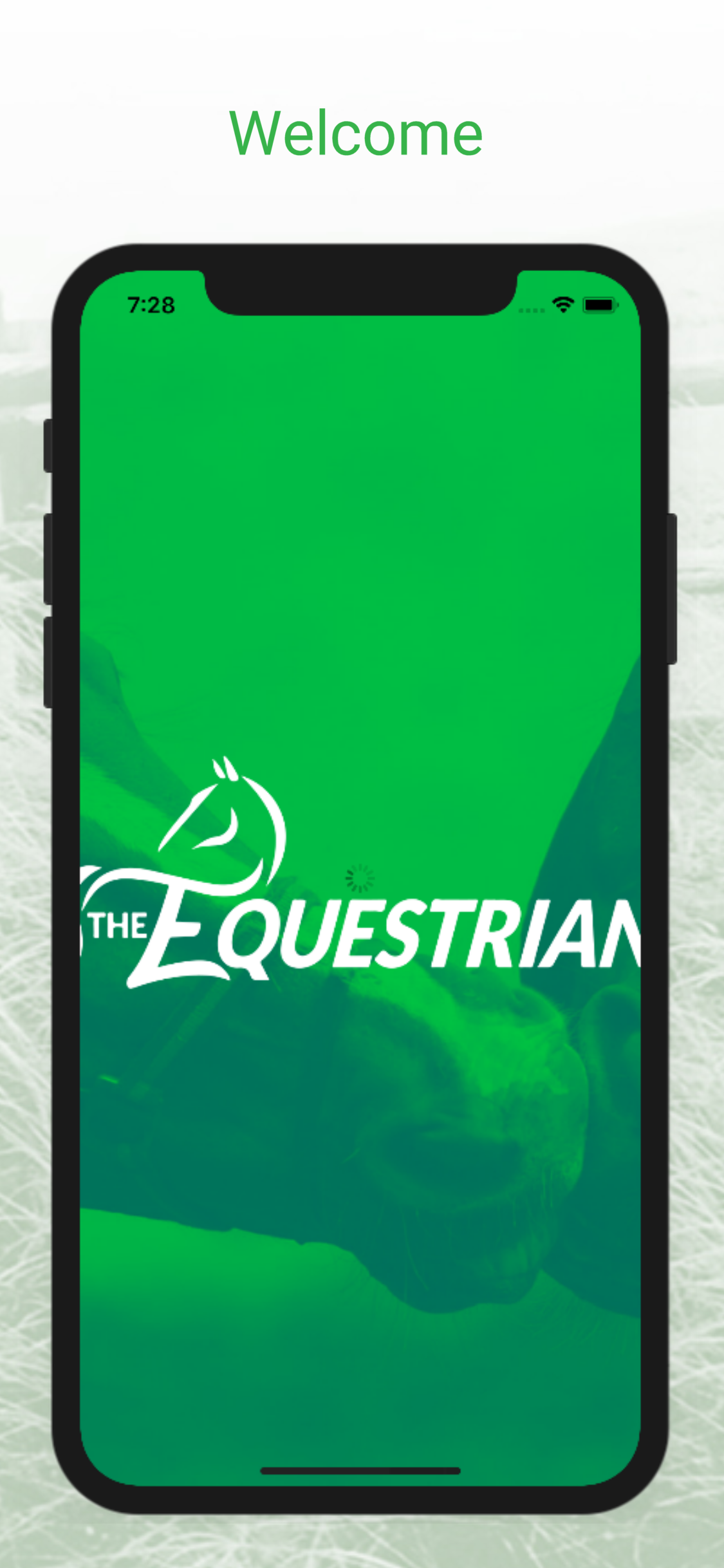 The Equestrian gallery image