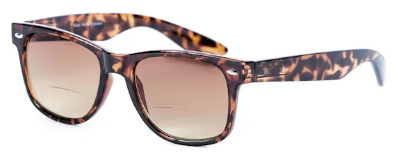 Lovin Rays Polarized Bifocal Sunglasses gallery image