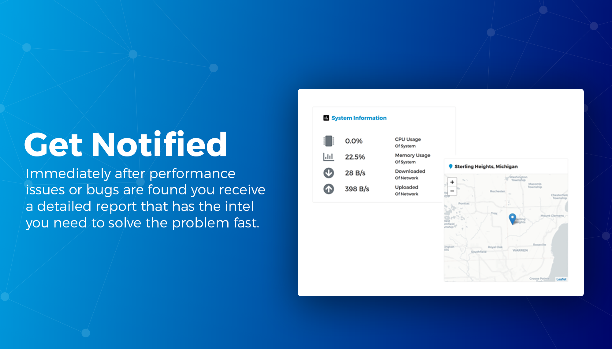 Auklet gallery image