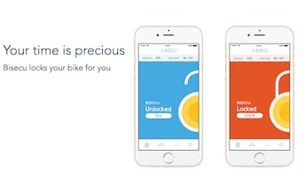 Bisecu gallery image