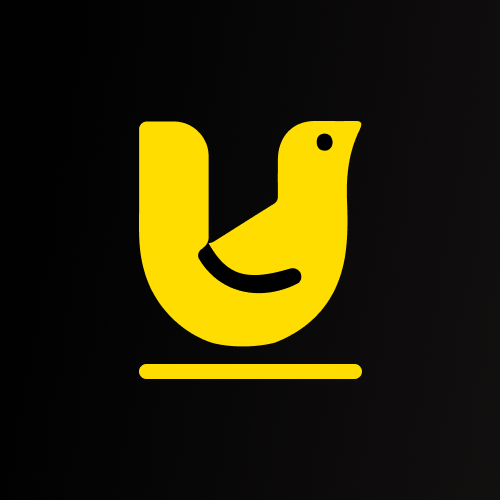 UX Alanı