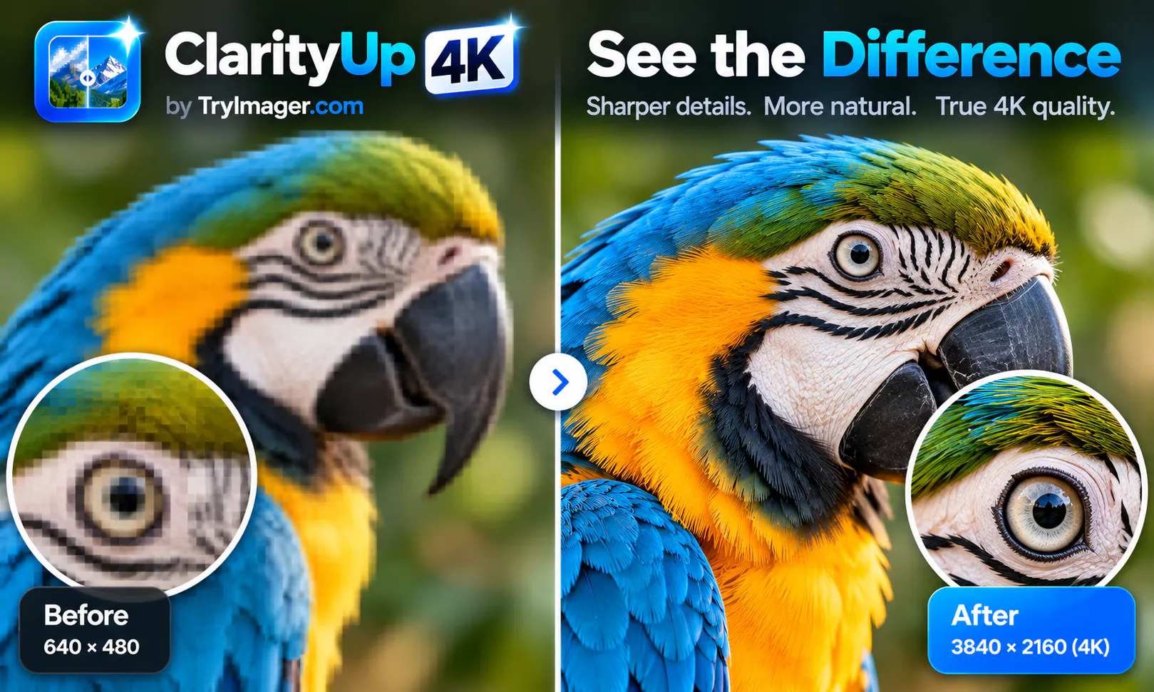 Clarityup4k gallery image