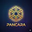 Pancara POS