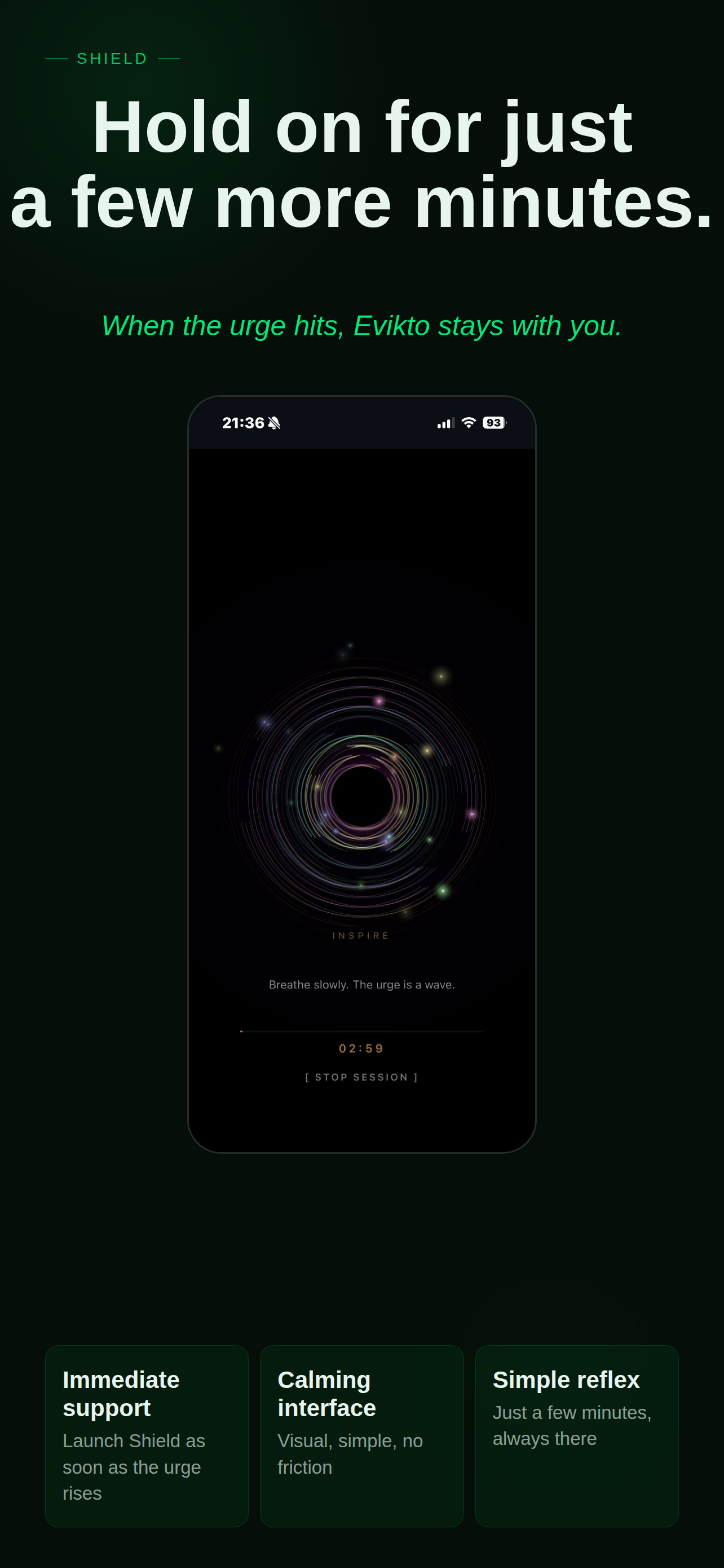 Evikto gallery image