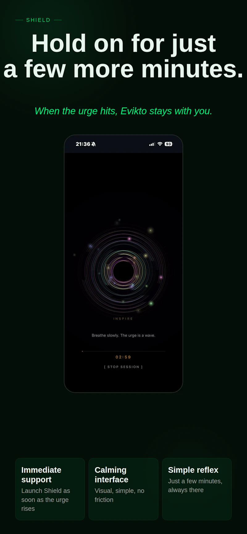 Evikto screenshot 3