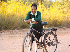 Story Bikes gallery image