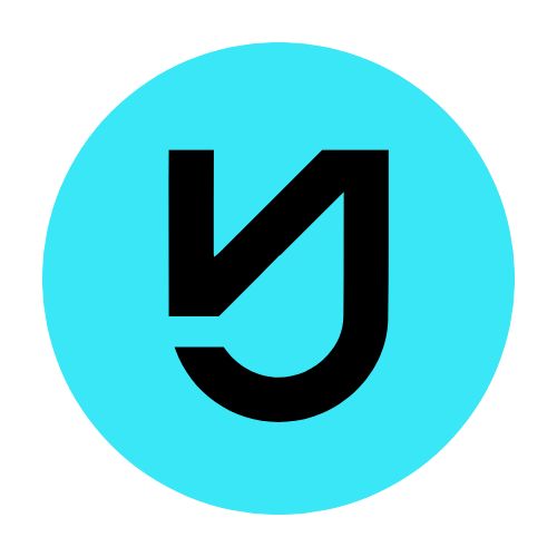 Video Jockey Live logo