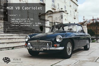 Vize by Ximilar gallery image