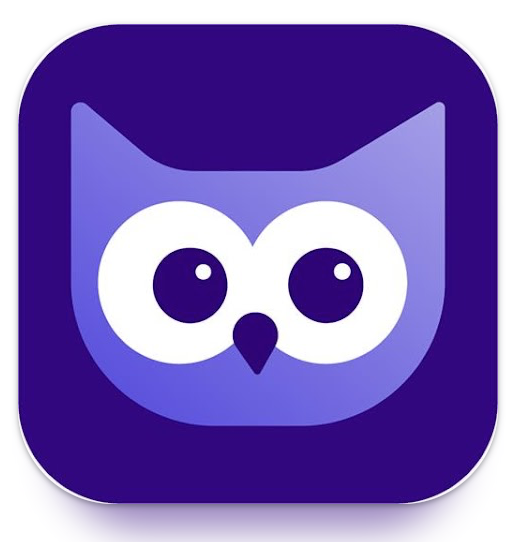 Owl Budget – Money & Expense Tracker - Product Hunt launch logo and brand identity