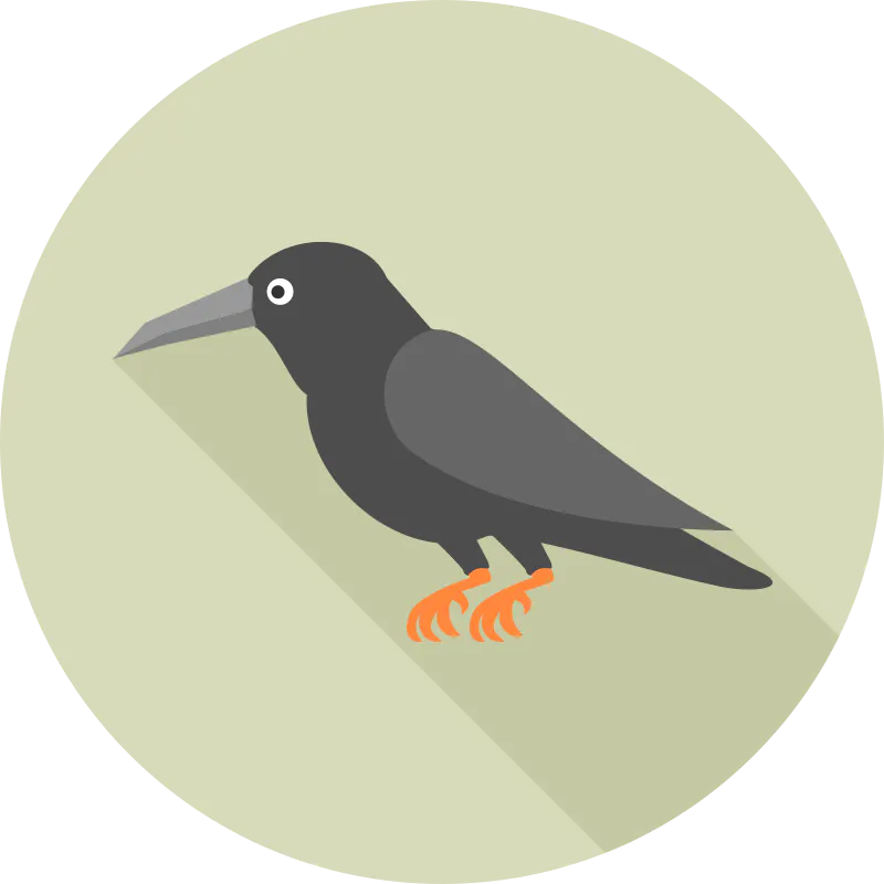 Ortu