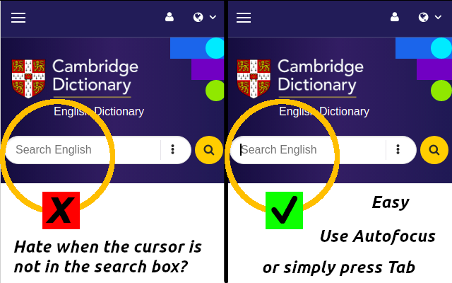 Search Box Focus gallery image