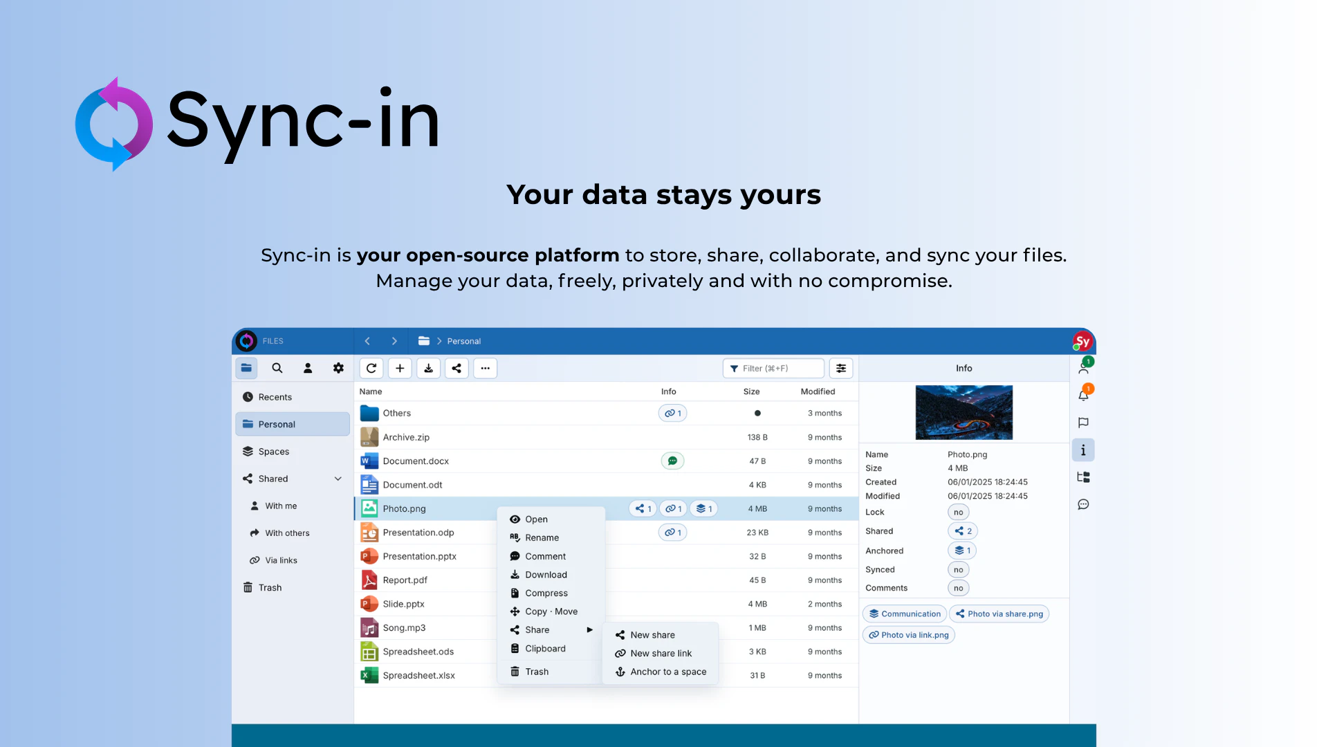 Sync-in screenshot 2