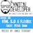 The Cynical Developer Podcast: EP 28 - Html 5.0 and Flexbox