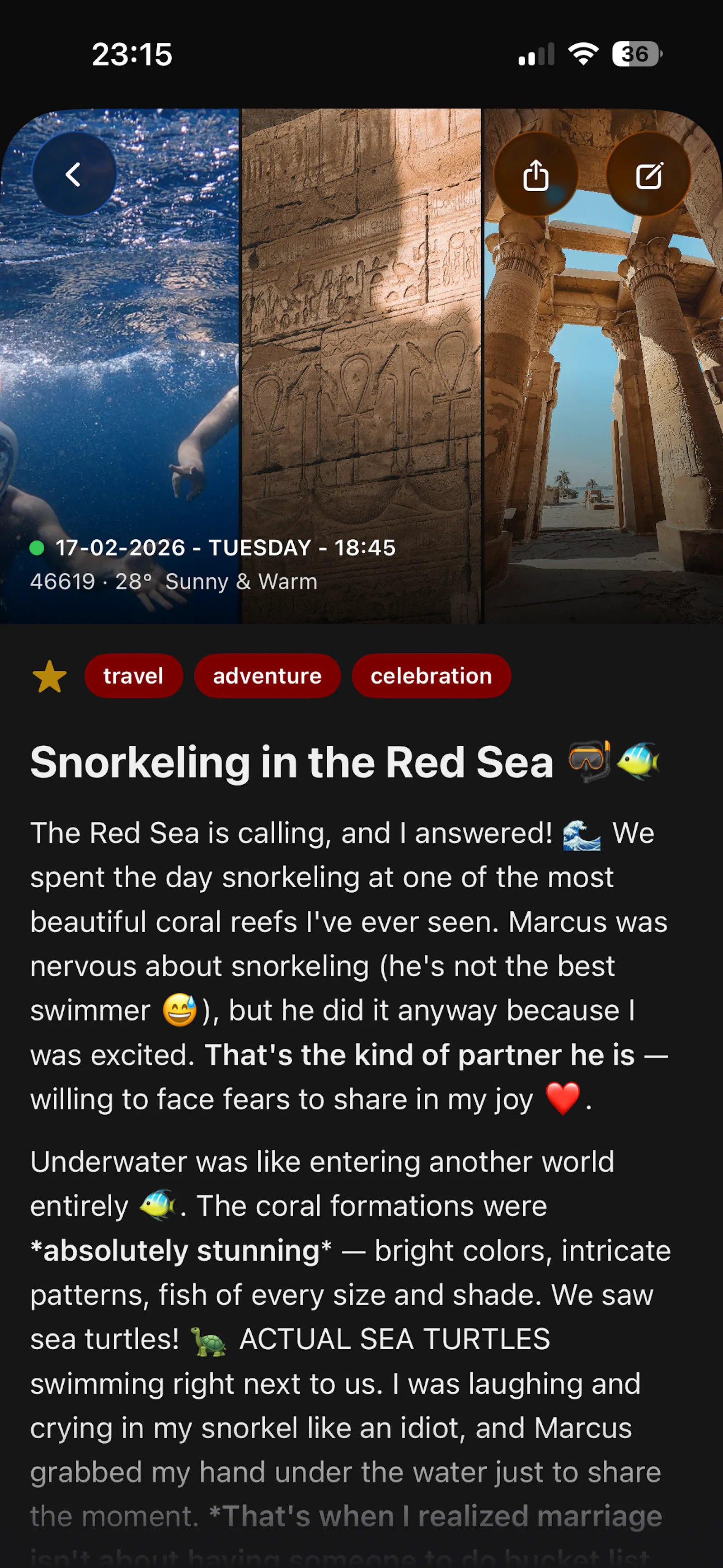 The Log screenshot 5
