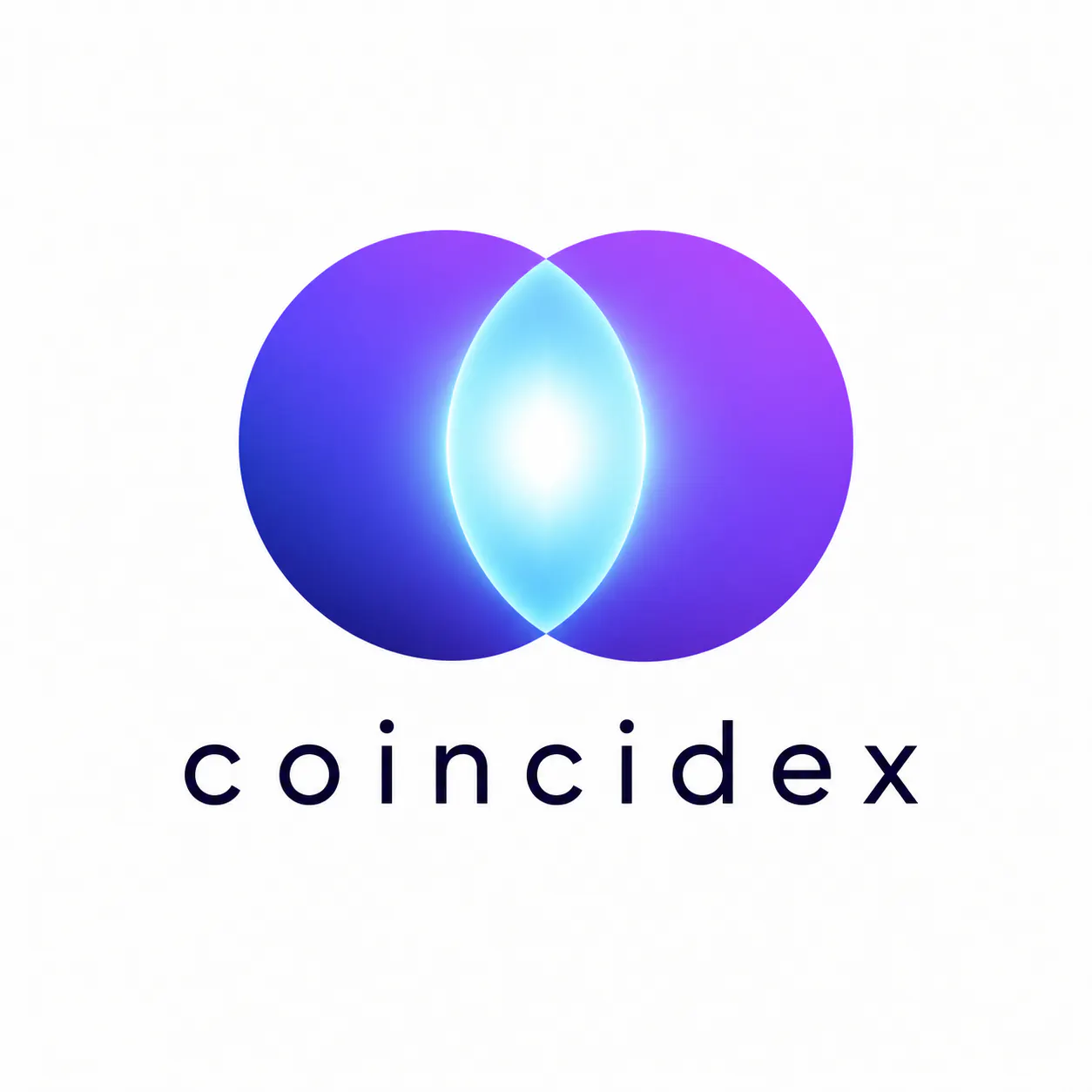 Coincidex logo