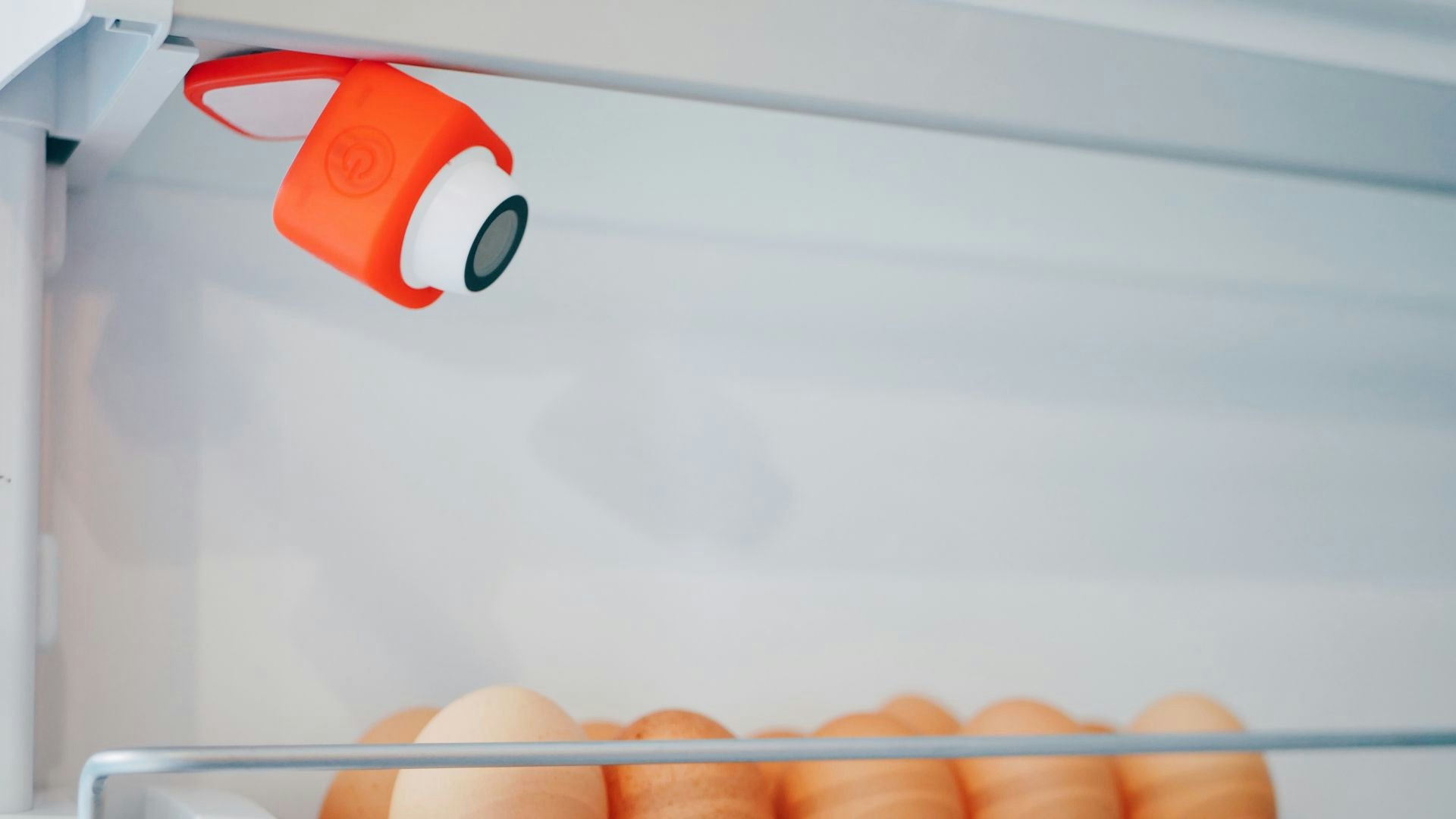 brezzl. freeze gallery image