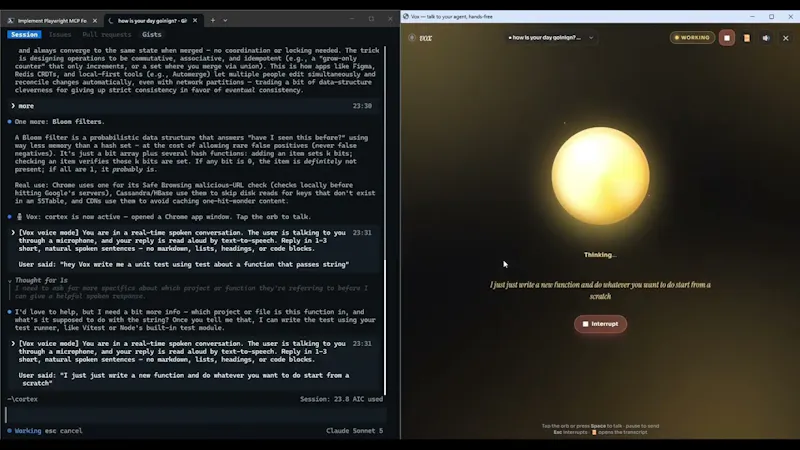 Vox screenshot 1 (video preview)