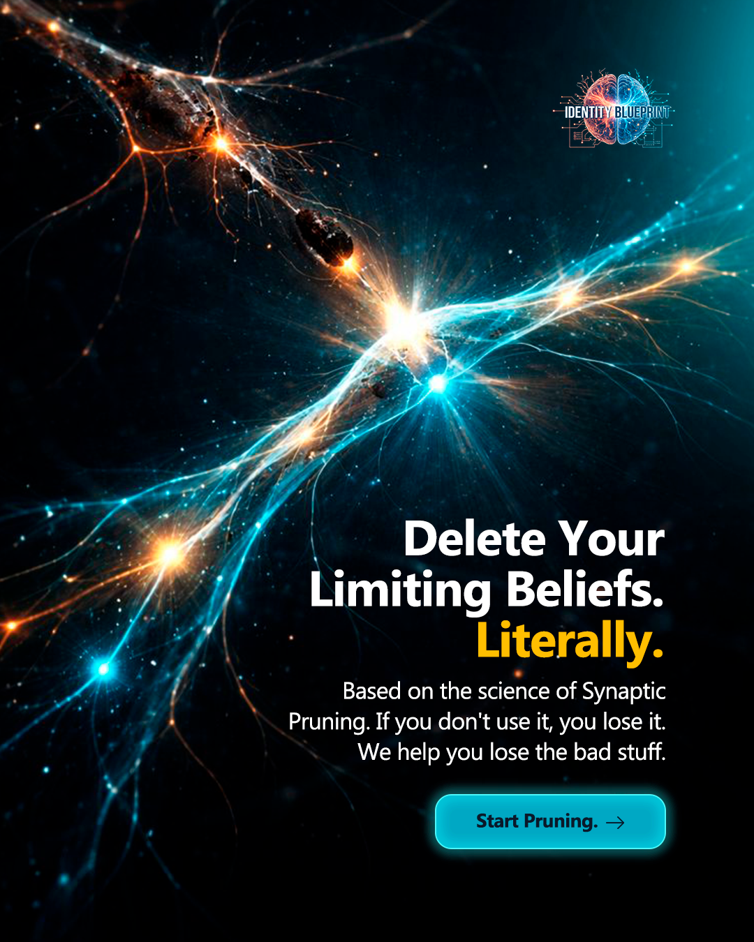 The Identity Blueprint gallery image