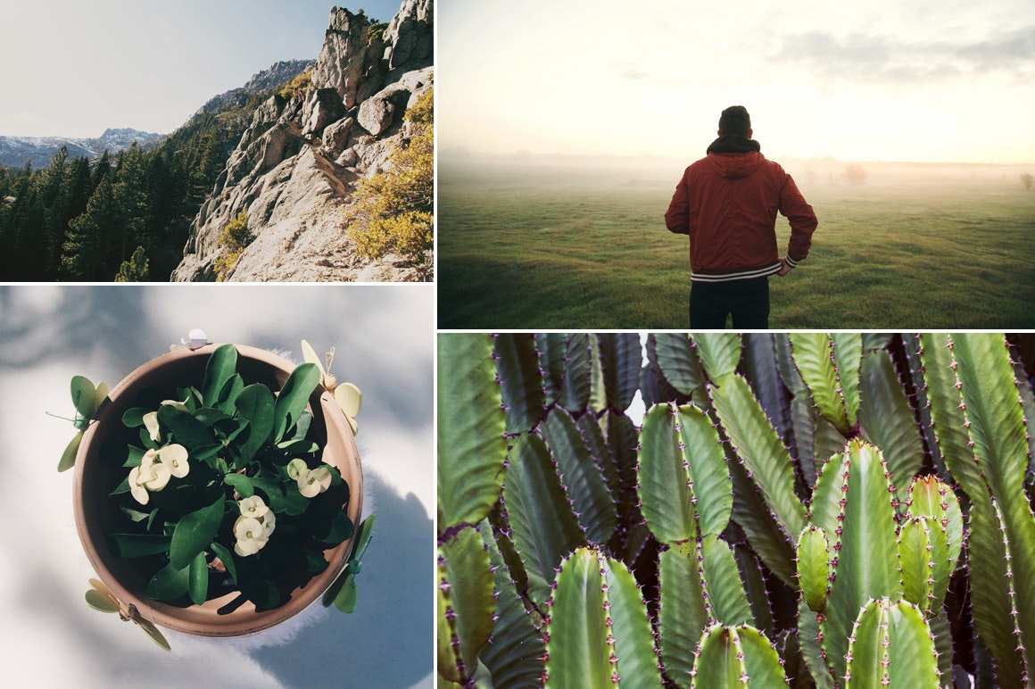 FilterGrade gallery image