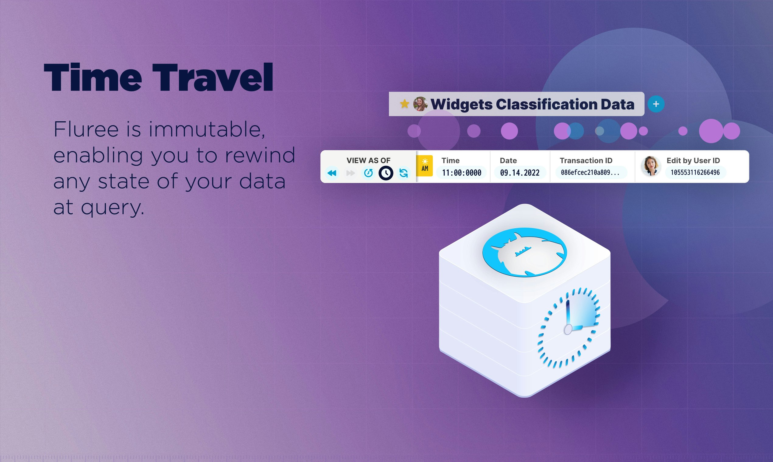 JSON-LD Database by Fluree media 4