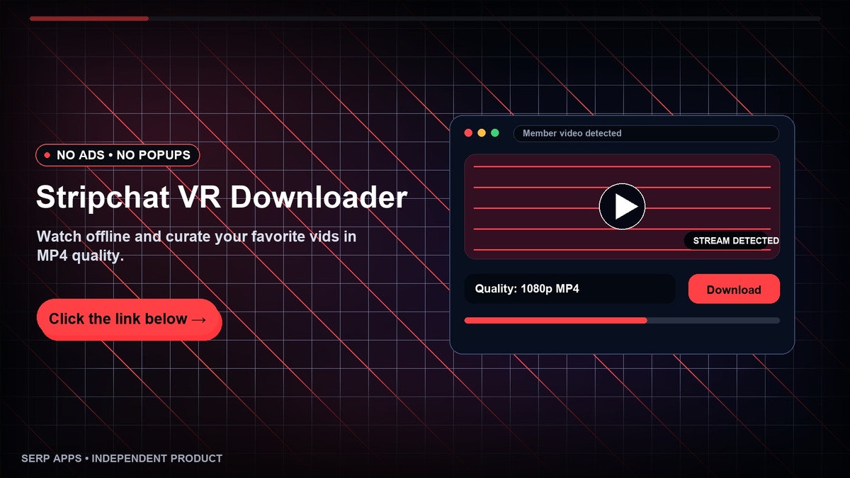 Stripchat VR Downloader gallery image