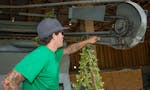 Trellis to Table - Solomon Rose Disrupts American Hops image