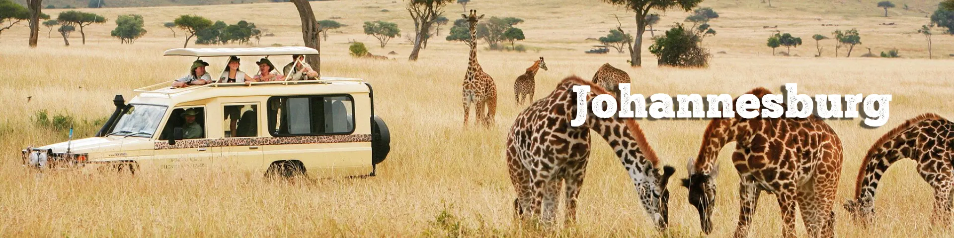 Travel Business First product banner