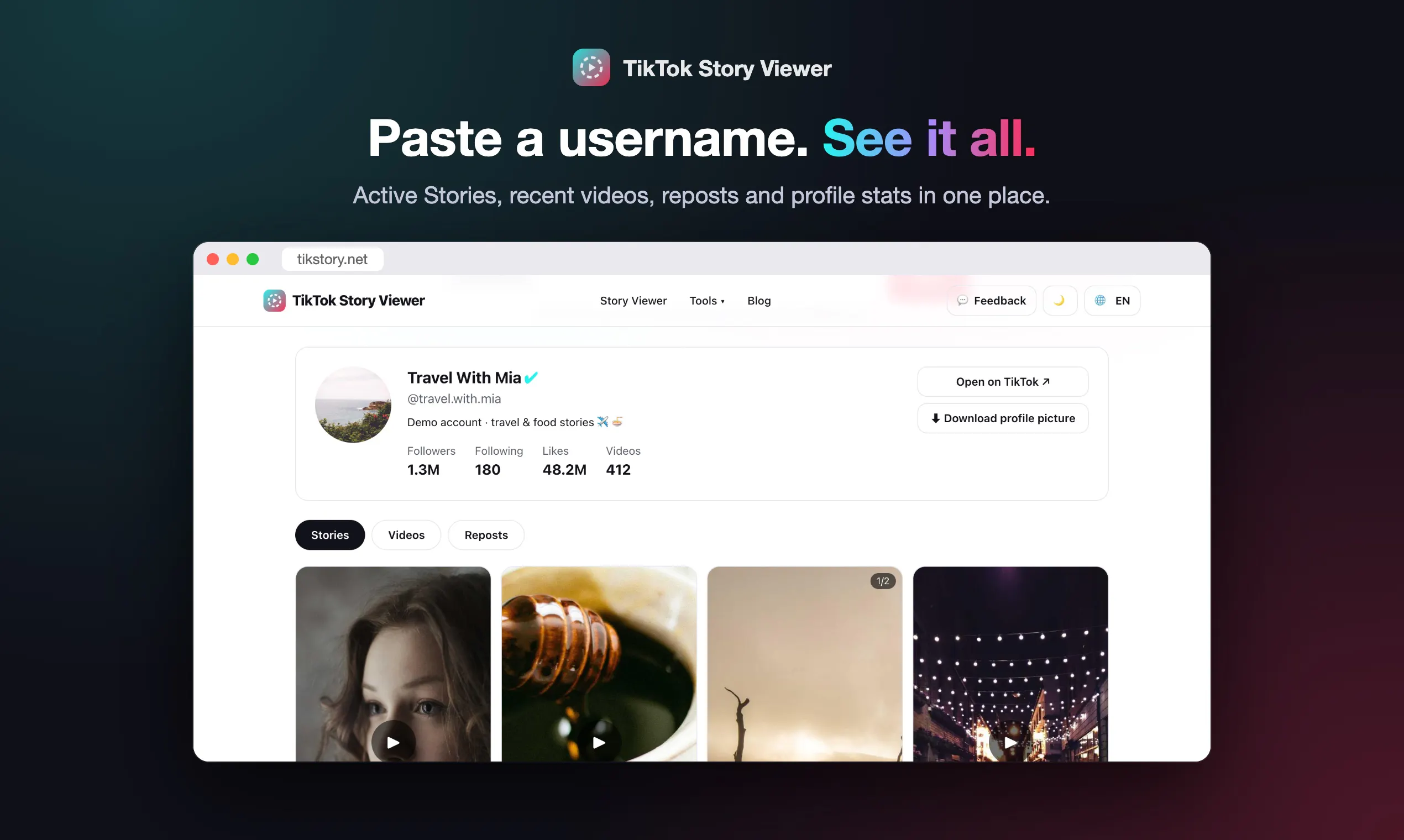 TikTok Story Viewer gallery image