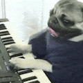 Strike a Chord